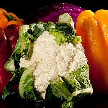 portafolio de producto 